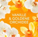 Lenor Goldene Orchidee Płyn do Płukania 36 prań