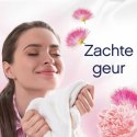 Lenor Light Zijde Bloesem & Pioenroos Płyn do Płukania 40 prań