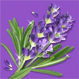 Mr.Propre Lavendel & Rozemarijn Spray Multifunkcyjny 800 ml