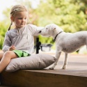 Miska dla psa, podwójna Dog Deluxe z regulowaną wysokością, czarny