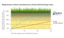 Trawa Na Ekstremalne Warunki Barenbrug Resilient Blue Lawn 15kg
