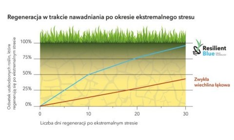 Trawa Na Ekstremalne Warunki Barenbrug Resilient Blue Lawn 15kg