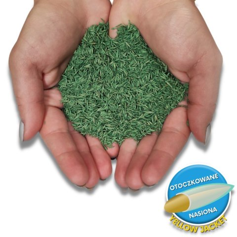 Trawa Na Ekstremalne Warunki Barenbrug Resilient Blue Lawn Otoczkowana 5kg