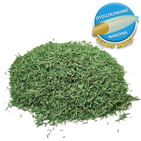 Trawa Na Ekstremalne Warunki Barenbrug Resilient Blue Lawn Otoczkowana 5kg