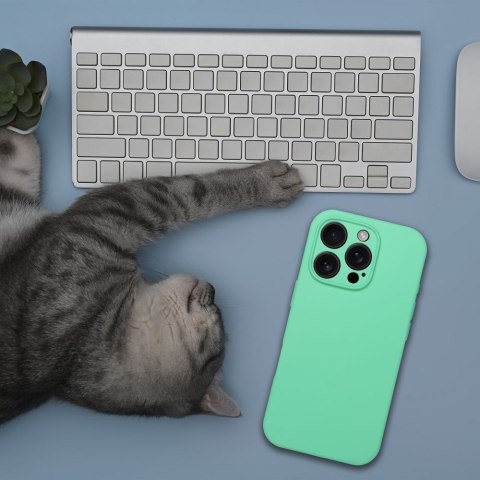 Etui na iPhone 16 PLUS Silicone 2mm (camera protection) zgodne z MagSafe miętowe