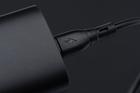 Kabel USB C do USB C Blue Star 3A 60W ECO 1 m PJ73-13-3 czarny