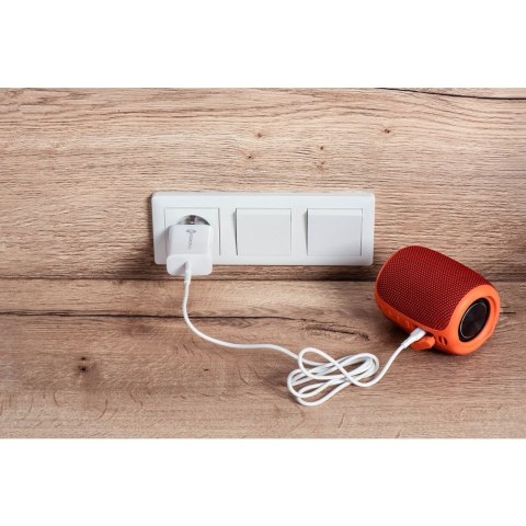 Ładowarka sieciowa do telefonu Forcell F-Energy USB C QC4.0 PD 3A 25W + kabel USB C do USB C TFK-TC-25WPD biała